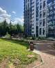 Сдам студию в Санкт-Петербурге, м. Старая деревня, Торфяная дорога 15к3, 30 м²