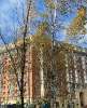 Сдам 1-комнатную квартиру в Санкт-Петербурге, м. Комендантский проспект, Плесецкая ул. 2, 36 м²