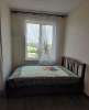 Сдам студию в Санкт-Петербурге, м. Волковская, Тосина ул. 6, 25 м²