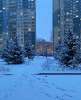 Сдам студию, Арцеуловская аллея 21, 26.5 м²