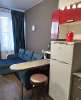Сдам студию, Петродворцовый р-н Петергоф Парковая ул. 20к3с4, 20 м²