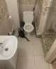 Сдам студию, пр-т Ветеранов 169к2, 29.1 м²