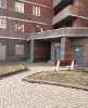 Сдам 1-комнатную квартиру в Санкт-Петербурге, м. Международная, Софийская ул. 28, 36.4 м²