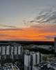 Сдам студию в Санкт-Петербурге, м. Озерки, наб. реки Каменки 19к1, 19.5 м²