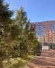 Сдам студию в Санкт-Петербурге, м. Приморская, наб. Макарова 58, 20 м²