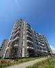 Сдам студию, Арцеуловская аллея 19, 25 м²