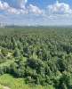 Сдам студию в Санкт-Петербурге, м. Озерки, наб. реки Каменки 19к1, 22 м²