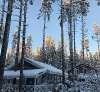 Сдам дом, Выборгский р-н Первомайское сельское поселение пос. Ильичёво Подъездная ул. 1, 120 м², 20 соток