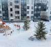 Сдам 1-комнатную квартиру, пр-т Ветеранов 196, 35 м²